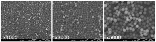 Catalyst composition for preparing polyketone compound, palladium mixed catalyst system, method for preparing polyketone compound using same, and polyketone polymer