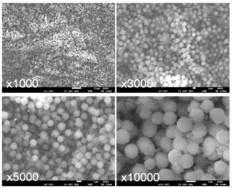 Catalyst composition for preparing polyketone compound, palladium mixed catalyst system, method for preparing polyketone compound using same, and polyketone polymer