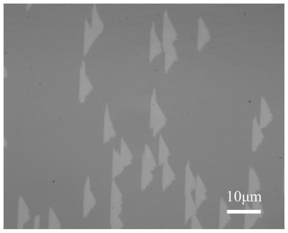 Double-layer transition metal chalcogenide continuous film and preparation method thereof