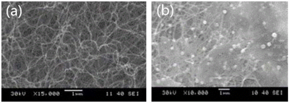 Adsorbent, Preparation and Application of Bacterial Cellulose Supported Lanthanum Metal Compounds