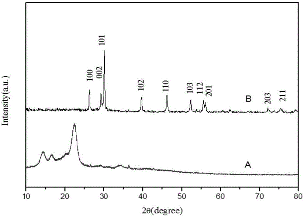 Adsorbent, Preparation and Application of Bacterial Cellulose Supported Lanthanum Metal Compounds