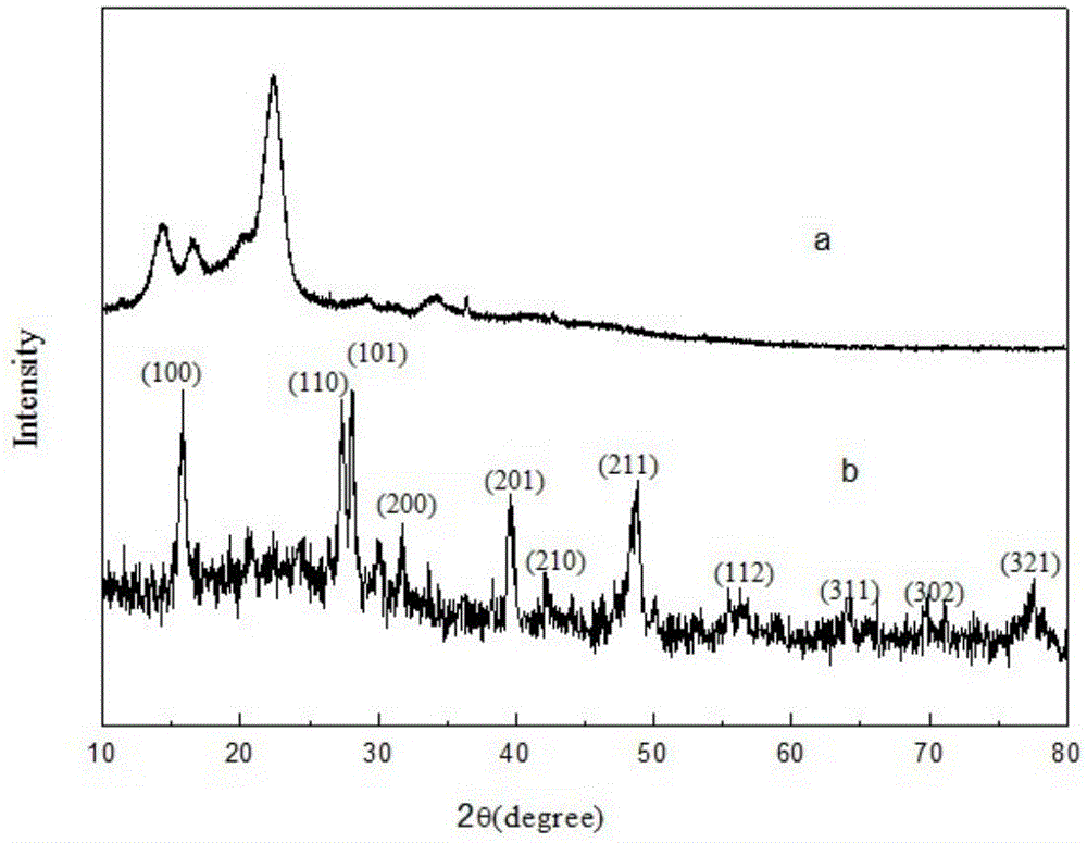 Adsorbent, Preparation and Application of Bacterial Cellulose Supported Lanthanum Metal Compounds