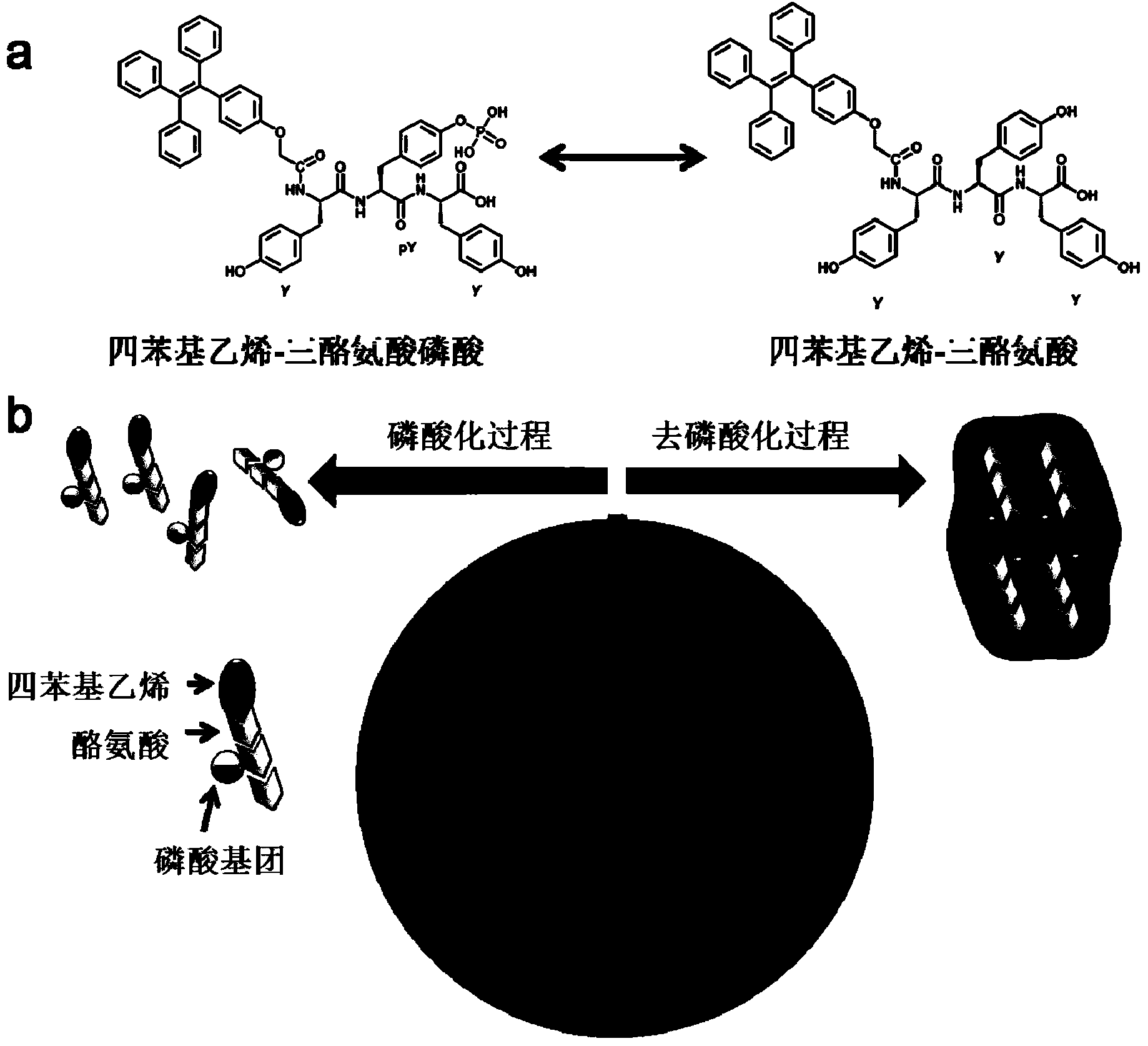 Enzyme-responsive self-aggregation luminous molecule and applications thereof in monitoring enzyme activity