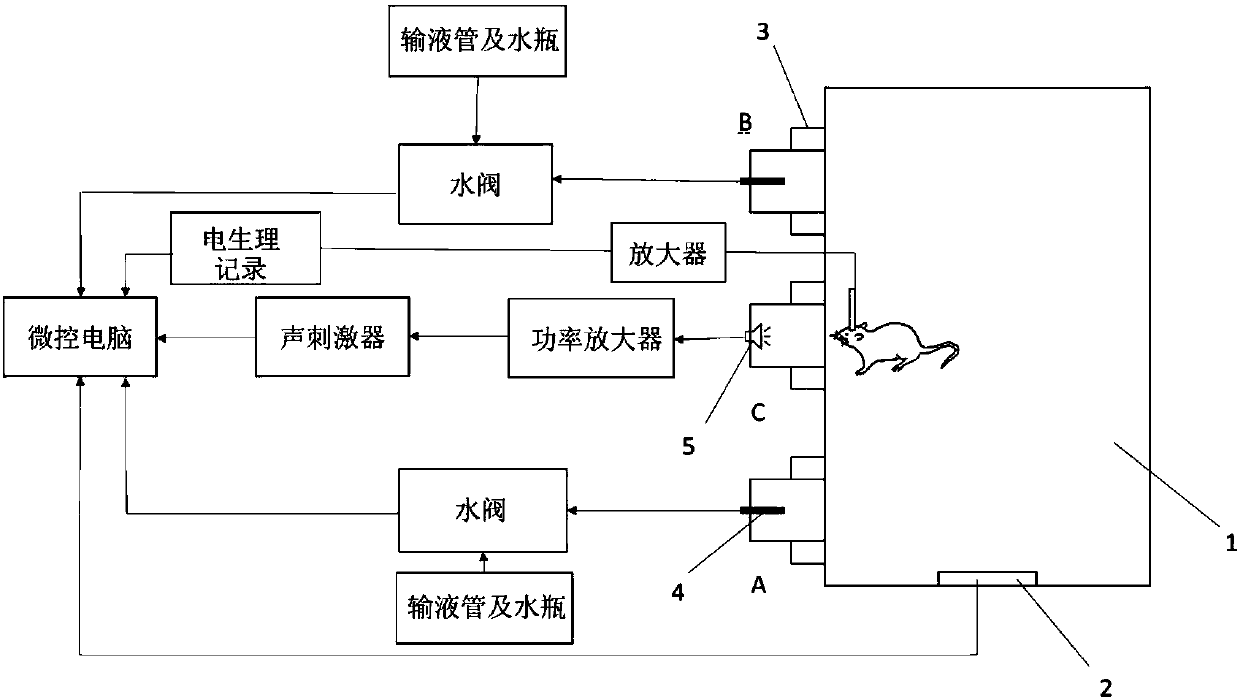 Device for sound distinguishing of small animal and synchronous electrophysiological-signal recording