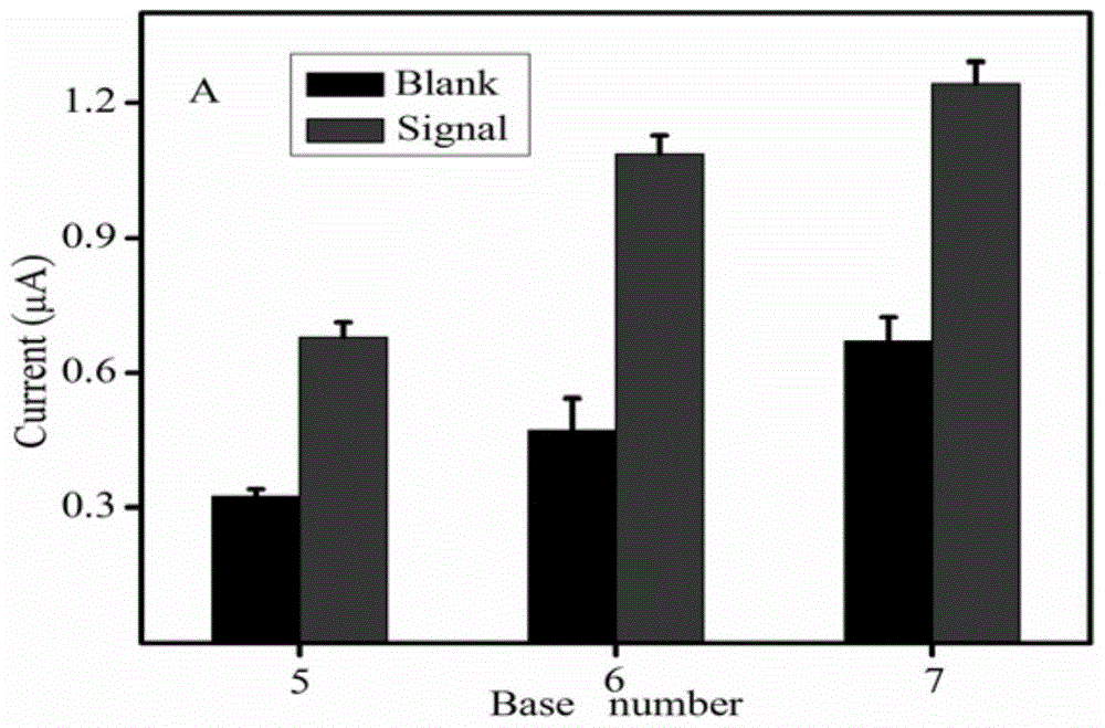 A kind of electrochemical sensor for detecting b group streptococcus and its preparation and application