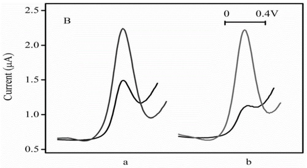 A kind of electrochemical sensor for detecting b group streptococcus and its preparation and application