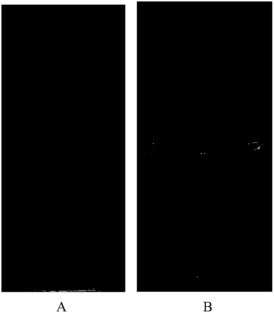 A kind of sulfur-doped graphene quantum dots and preparation method thereof and application of detecting silver ions