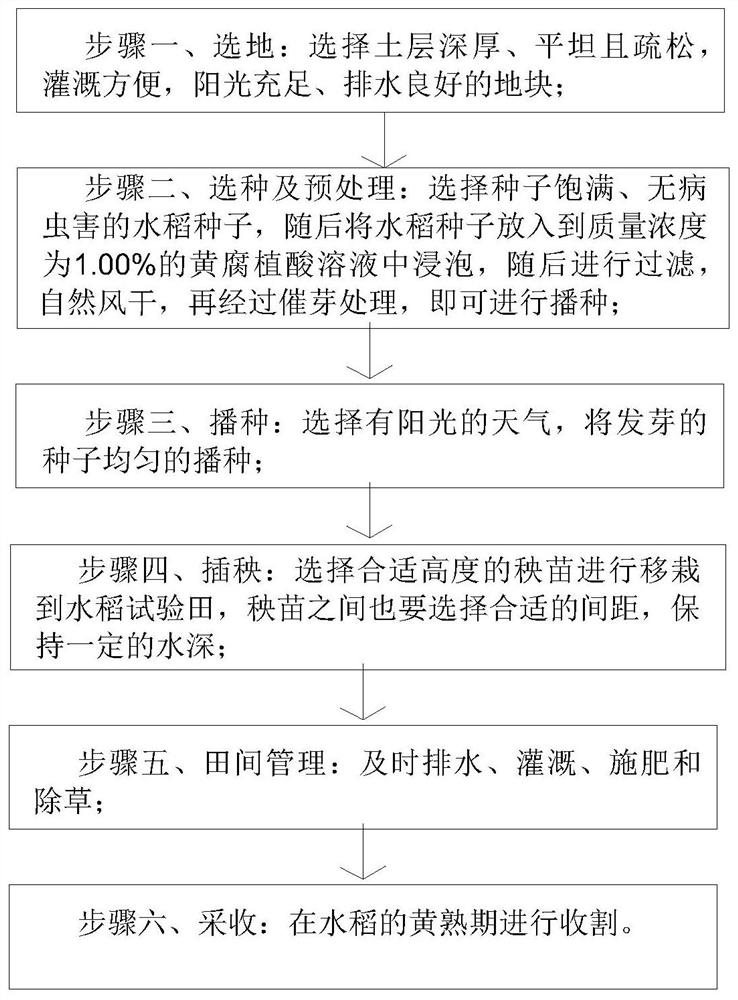 Test field for improving rice planting setting rate and planting method of test field