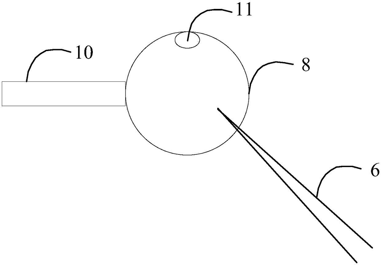 Operating system and method for egg cell micro-injection