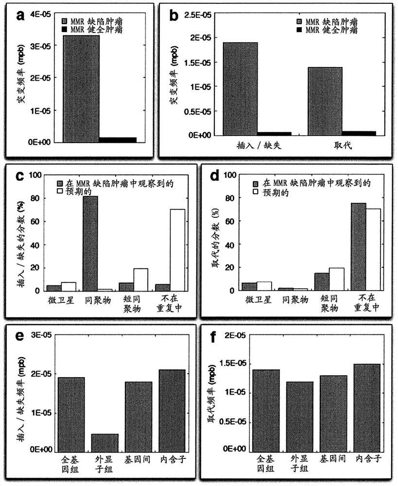 Novel markers for detecting microsatellite instability in cancer and determining synthetic lethality with inhibition of the DNA base excision repair pathway