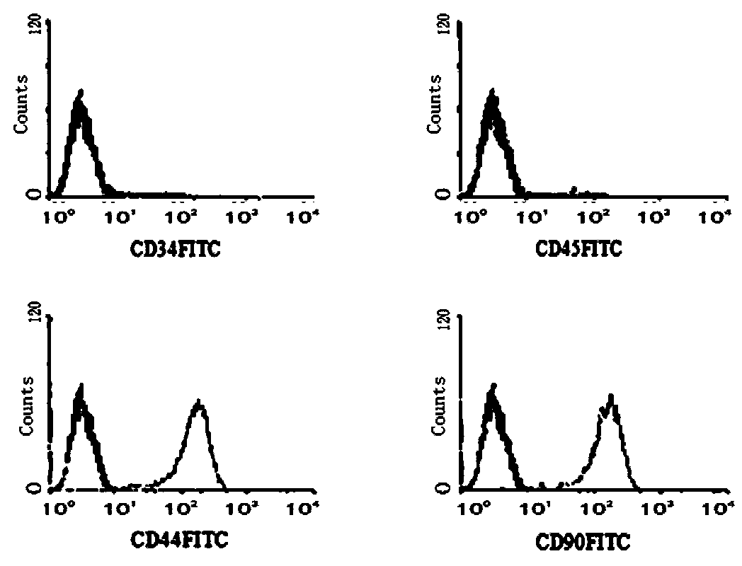 Stem cell preparation for treating diabetes mellitus and preparation method of stem cell preparation