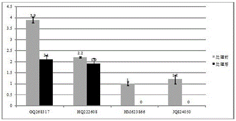 Method for purifying mulberry phytoplasma genome