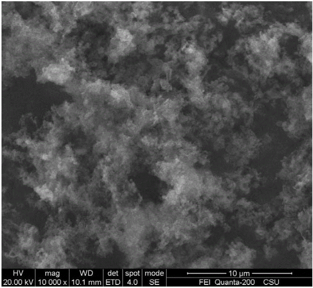 Preparation method of graphite type C3N4 material, graphite type C3N4 material and application of graphite type C3N4 material