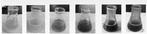 Extruded papain time and temperature indicator