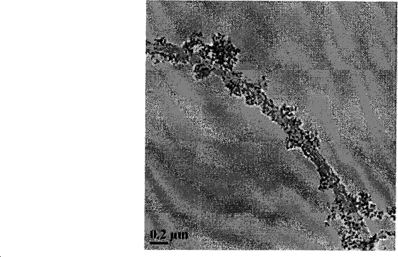 Method for preparing BaTiO3 / multi-wall carbon nano-tube (MWCNTs) nano composite material