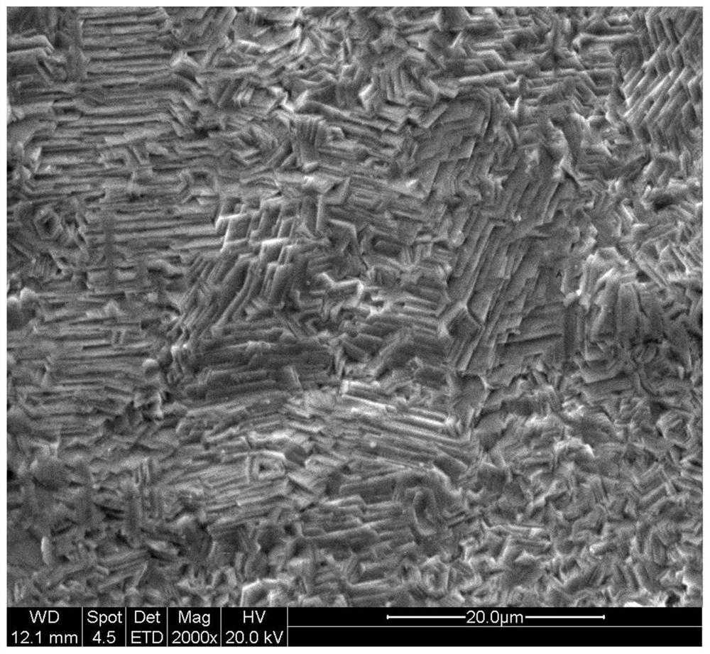 Pretreatment process method for improving strip steel plating quality