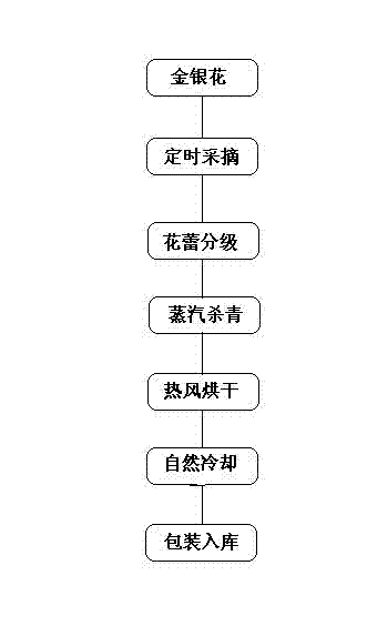 Processing method of honeysuckle tea