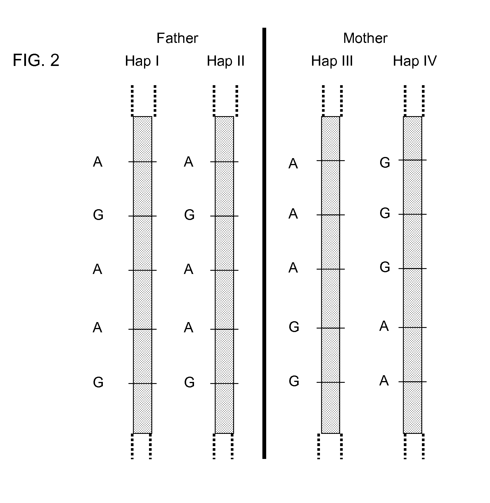 Fetal Genomic Analysis From A Maternal Biological Sample