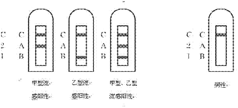 Combined detection test paper of influenza A virus antigen and influenza B virus antigen and preparation method thereof