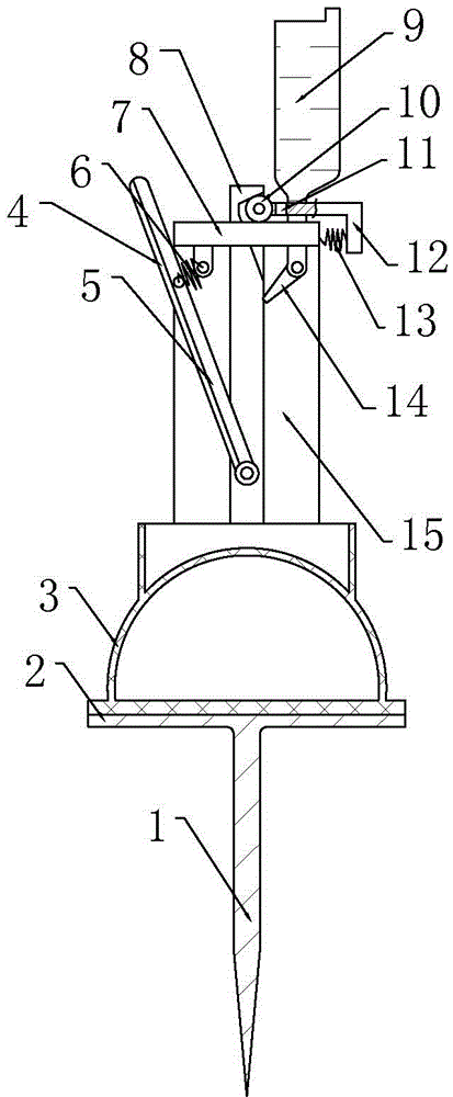 Pseudostellaria heterophylla planting method