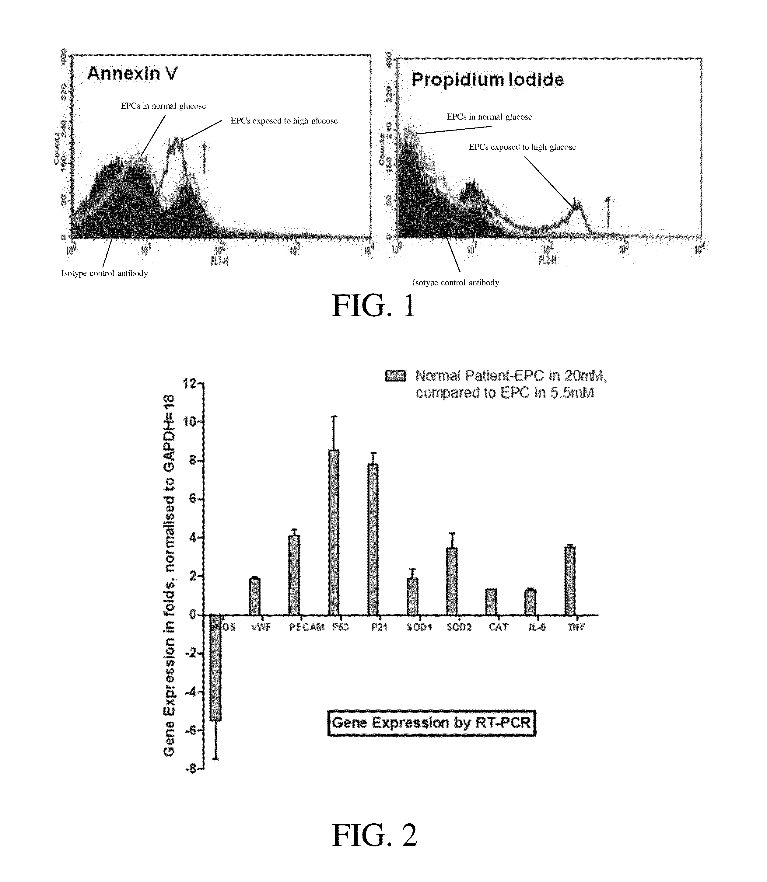 P53 silenced endothelial progenitor cells for diabetes