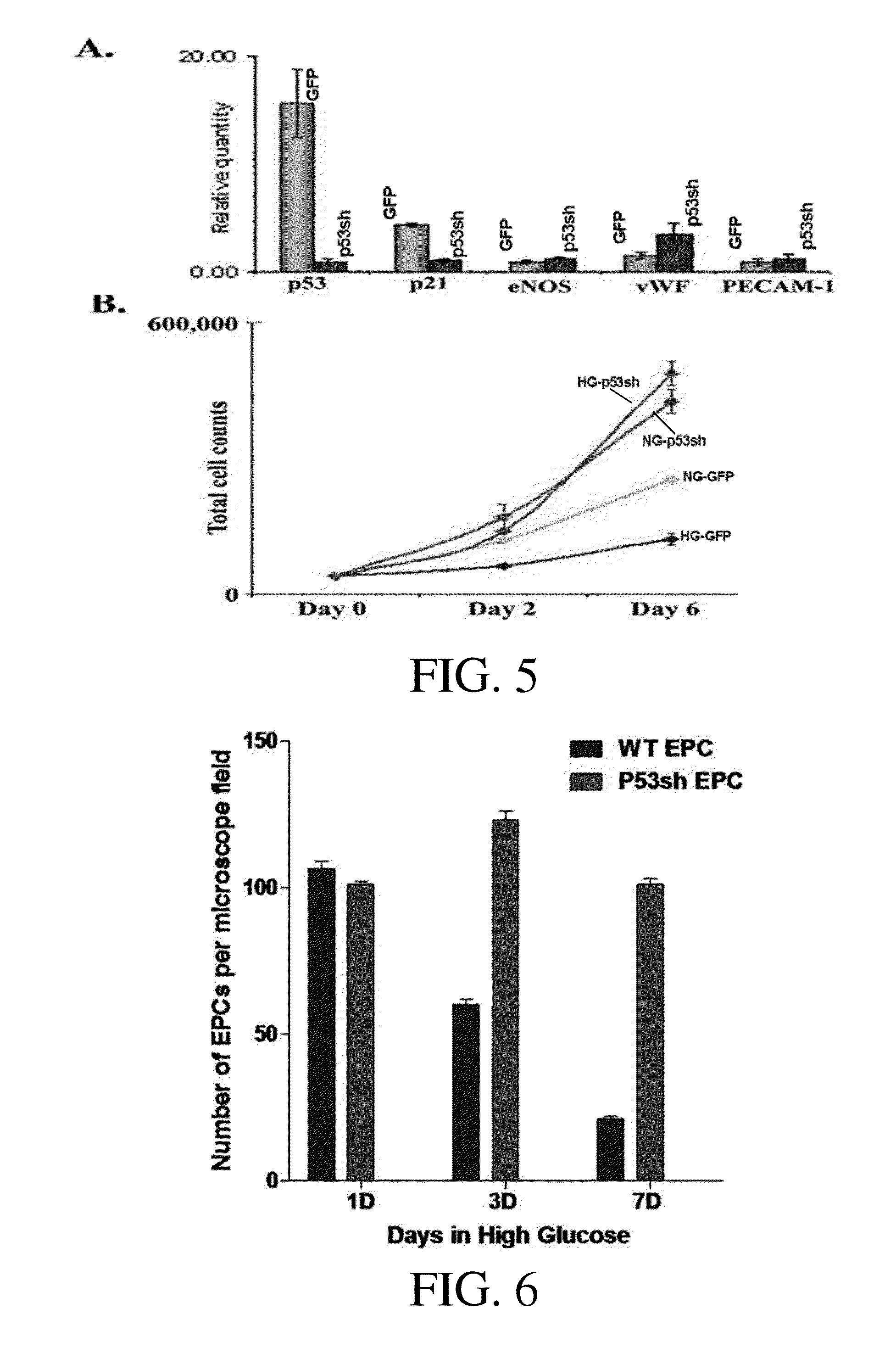 P53 silenced endothelial progenitor cells for diabetes