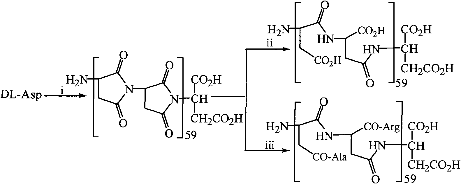 Polyasparagine-L-arginine and preparation method and medical application thereof