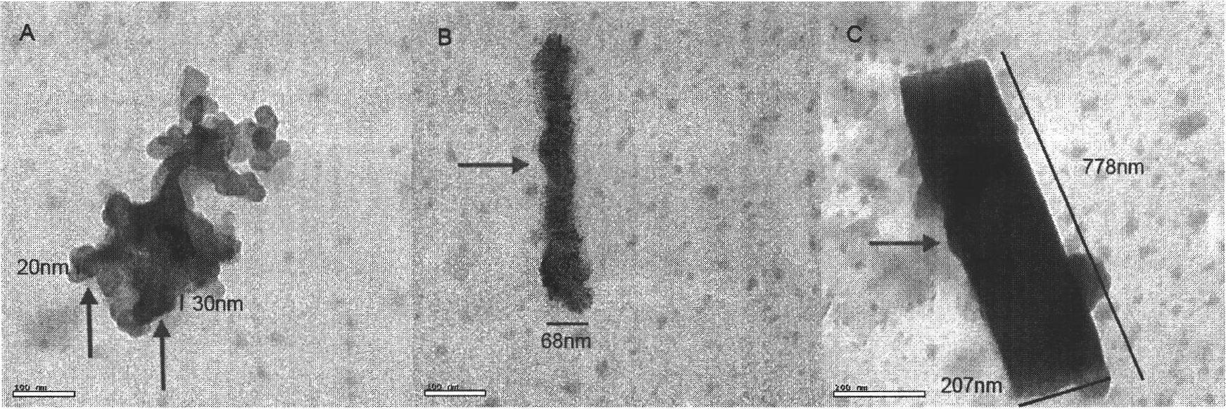 Polyasparagine-L-arginine and preparation method and medical application thereof