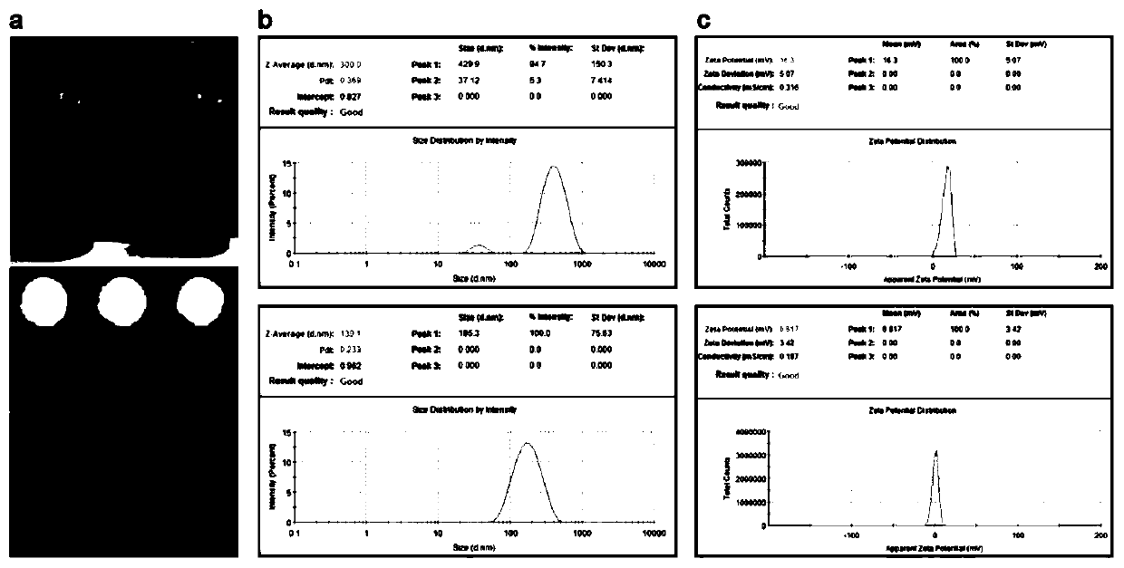 A kind of self-fluorescent polyacrylamide nanoparticle and its preparation method and application