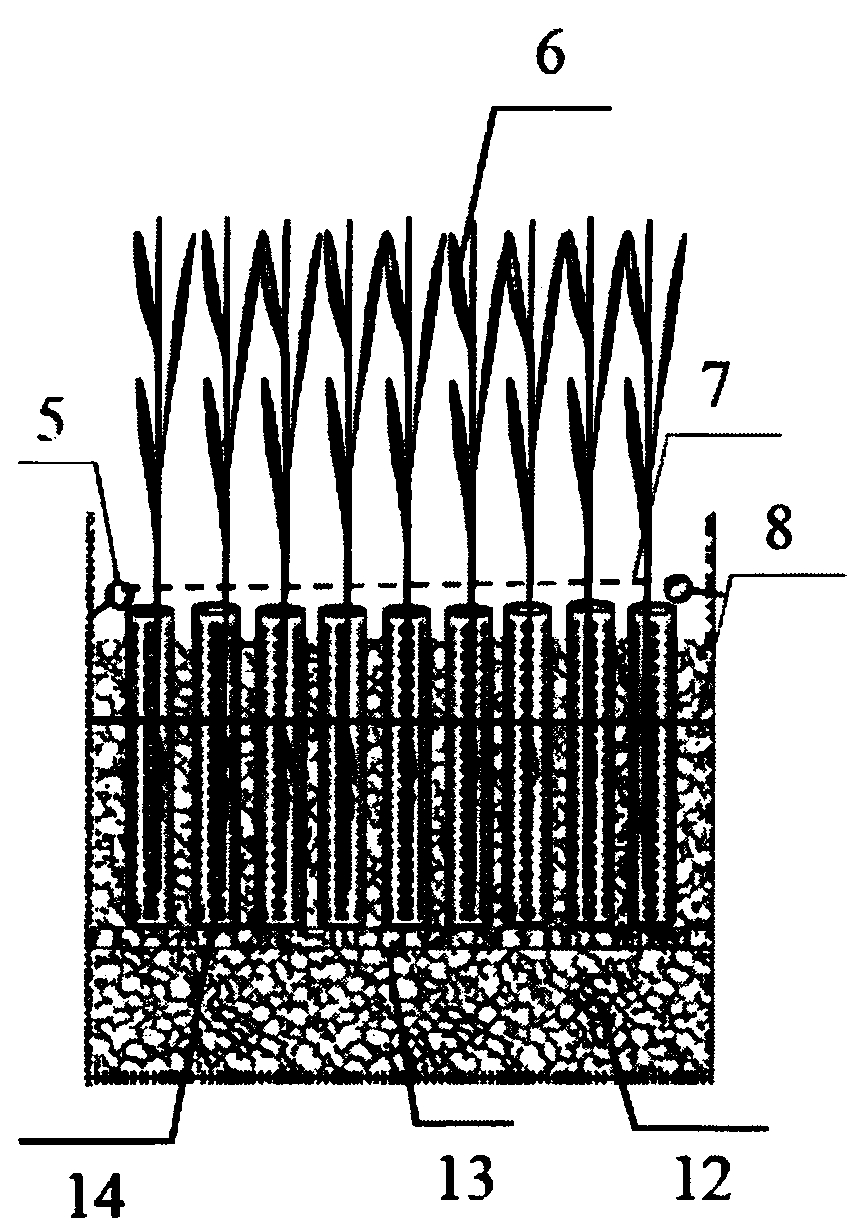 Water purifying composite ecological bed easy for plant management and recycling