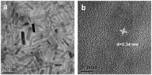 Magnetic rod-shaped nano-hydroxyapatite material and preparation method thereof