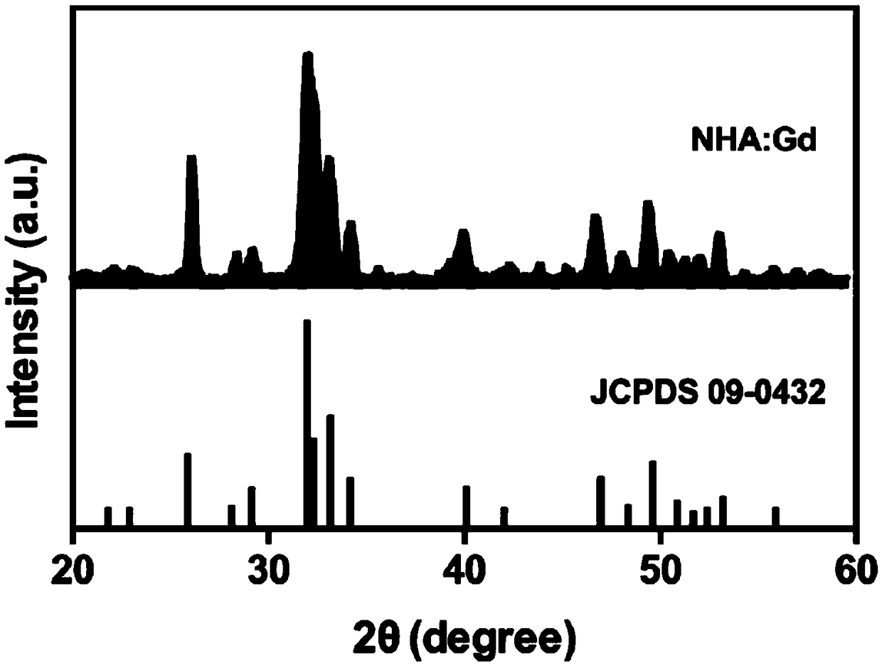 Magnetic rod-shaped nano-hydroxyapatite material and preparation method thereof