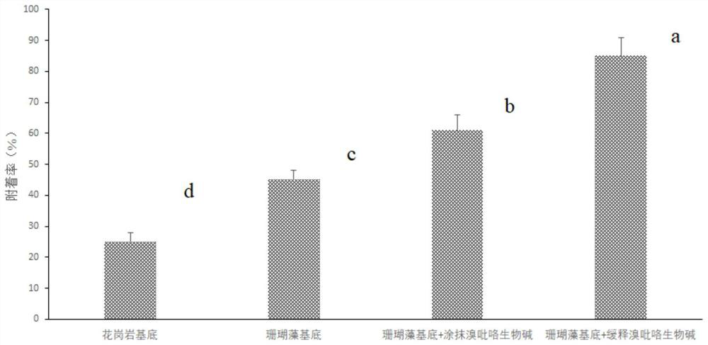 A method of inducing coral floating larvae to improve attachment ability