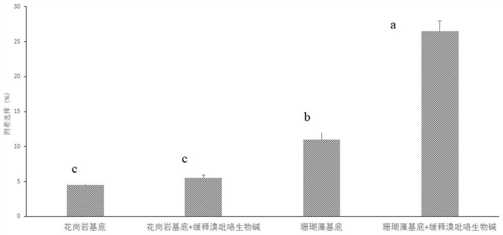 A method of inducing coral floating larvae to improve attachment ability