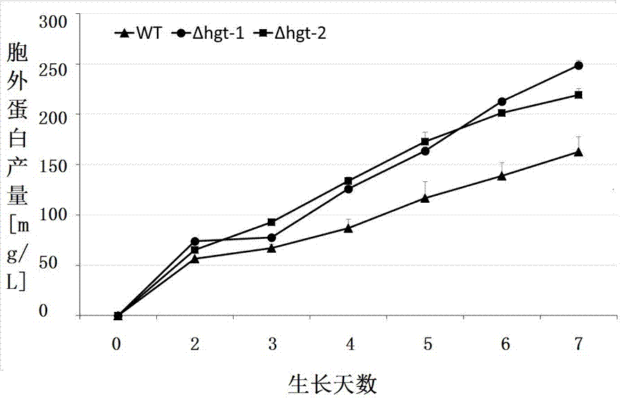 Method for improving expression of filamentous fungi lignocellulosic enzyme line and production of bio-based chemicals