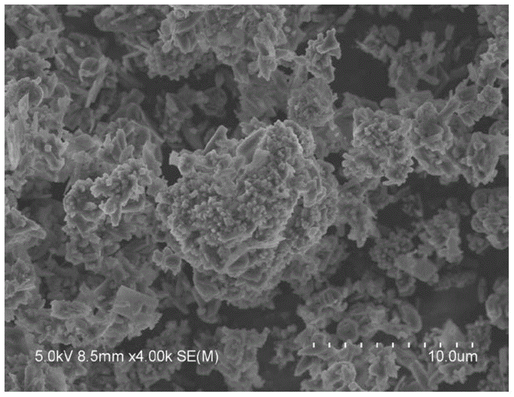 A kind of preparation method of photocatalyst for treating nitrophenol wastewater, a kind of treatment method of nitrophenol wastewater