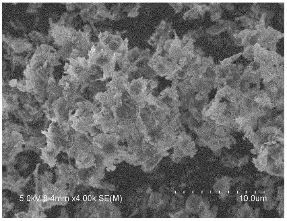 A kind of preparation method of photocatalyst for treating nitrophenol wastewater, a kind of treatment method of nitrophenol wastewater