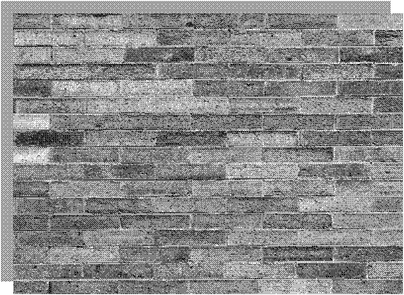 Method for preparing colored autoclaved brick from lake sludge