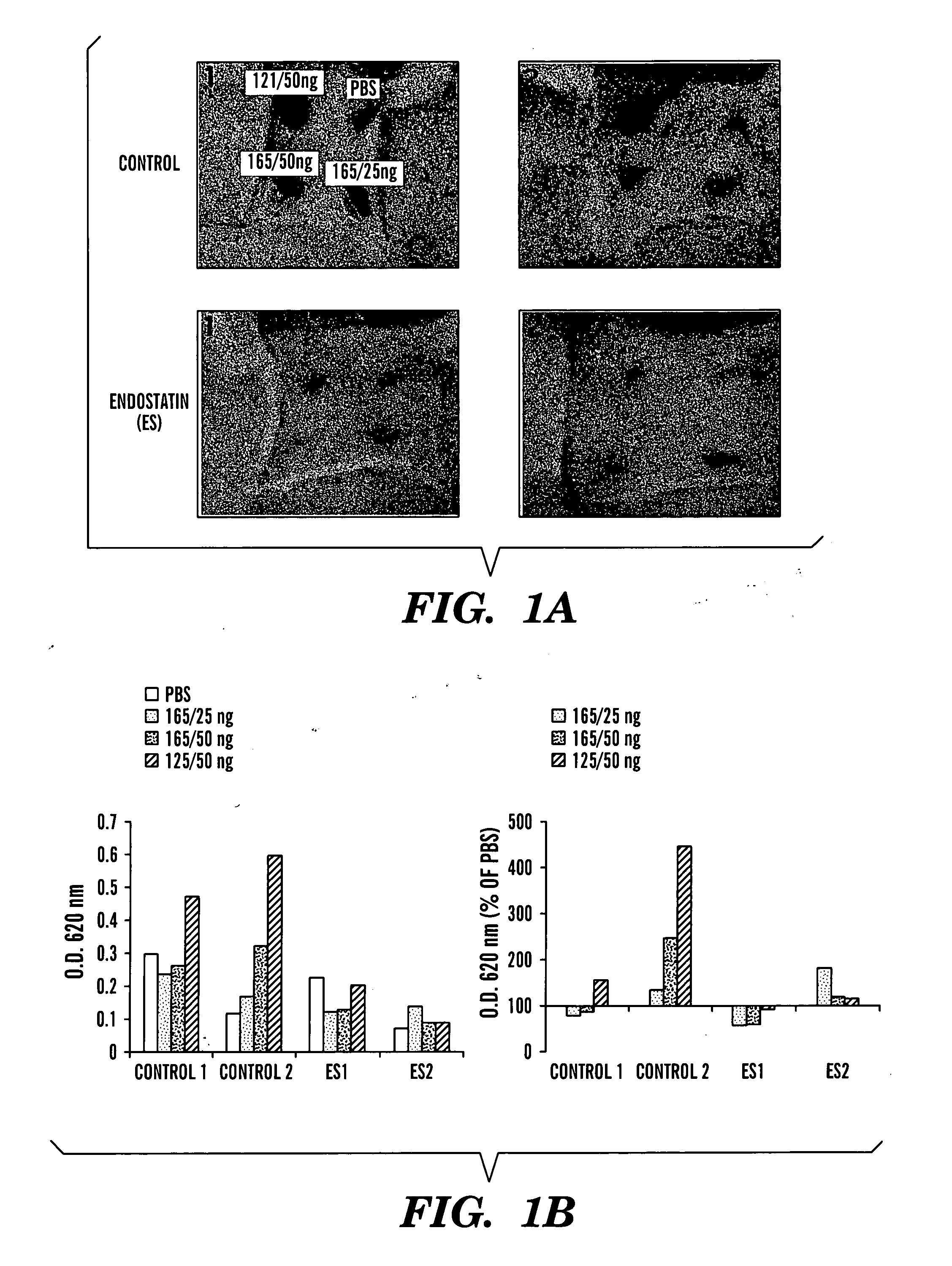 Methods for inhibiting vascular permeability