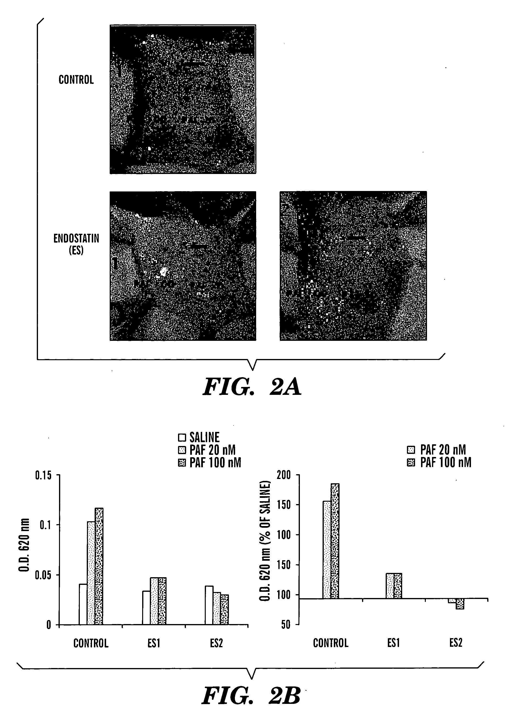 Methods for inhibiting vascular permeability