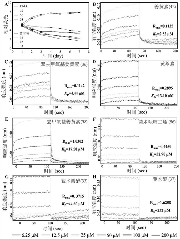 Porous carbon carrier, preparation method thereof and application of porous carbon carrier in ligand fishing