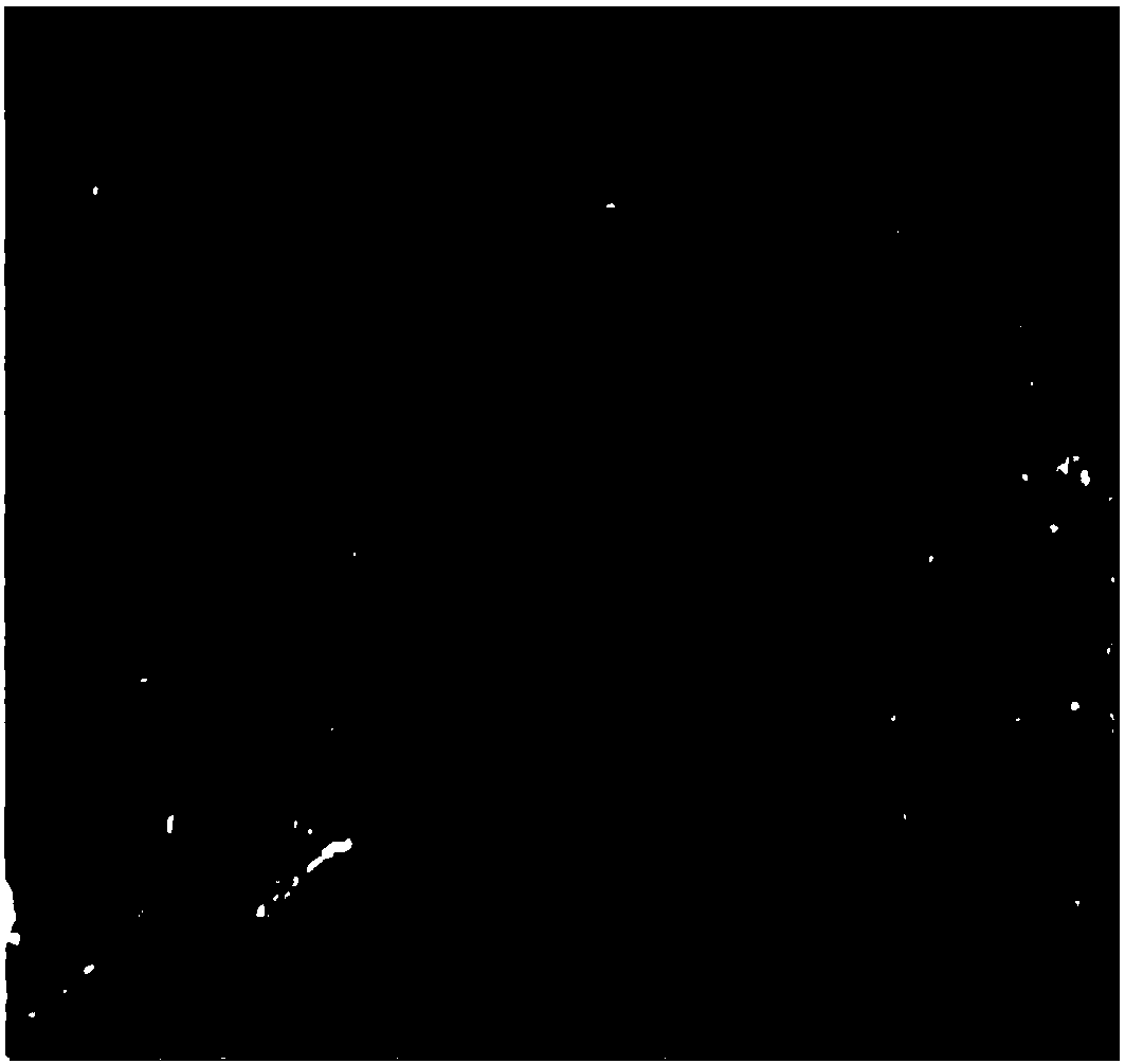 Liquid crystal gel microcapsules and preparation method thereof