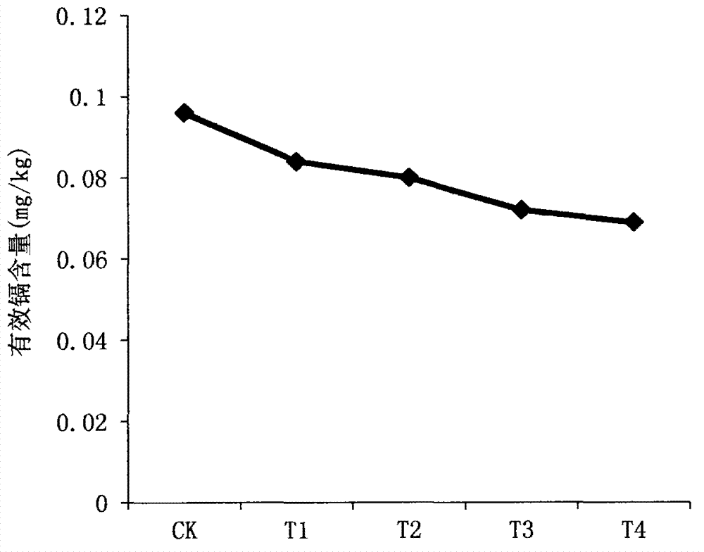 Rape stalk soil cadmium passivator, as well as preparation method and application thereof