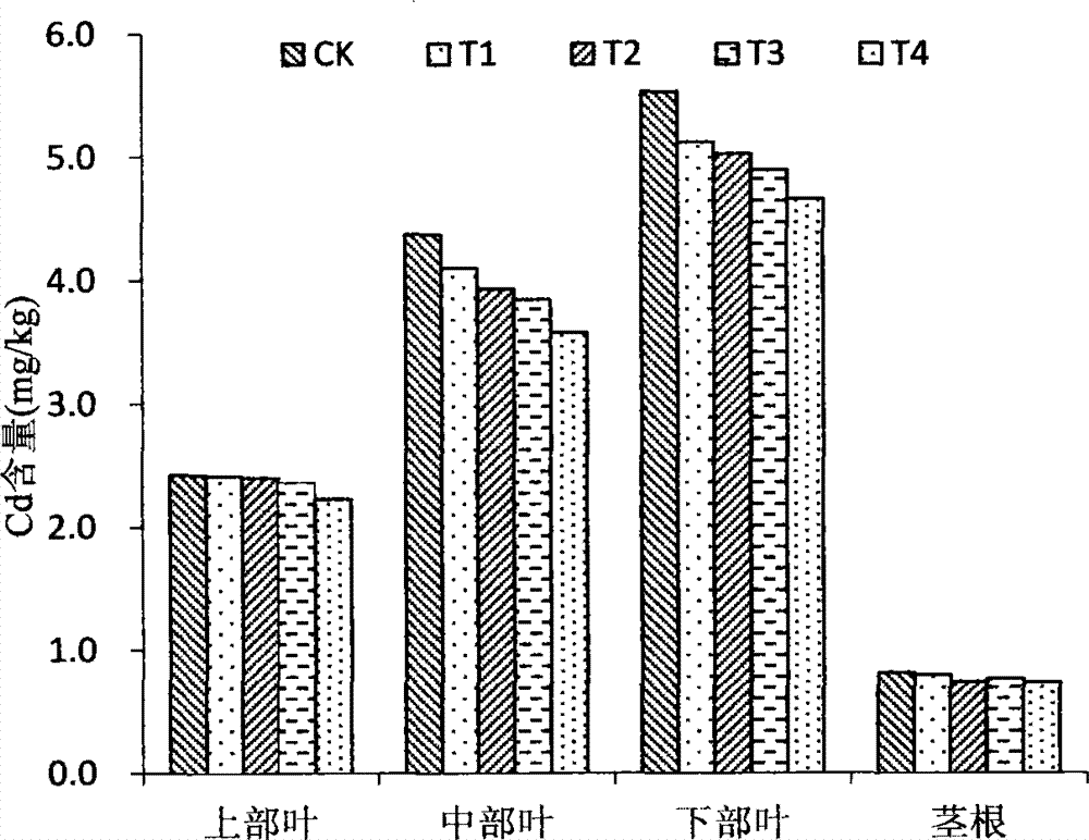 Rape stalk soil cadmium passivator, as well as preparation method and application thereof