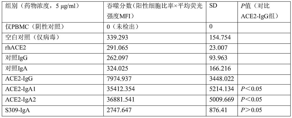 ACE2 immune fusion protein and application thereof