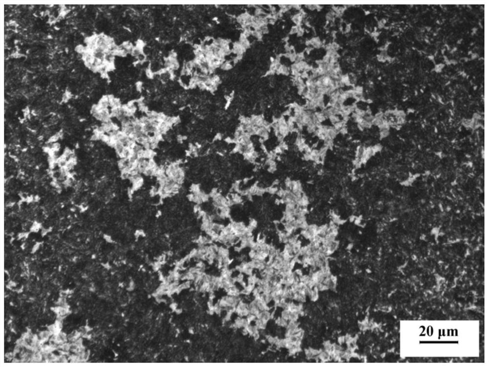 Chromium-vanadium series hot rolled steel wire rod and preparation method thereof, and preparation method of steel wire and hand tool