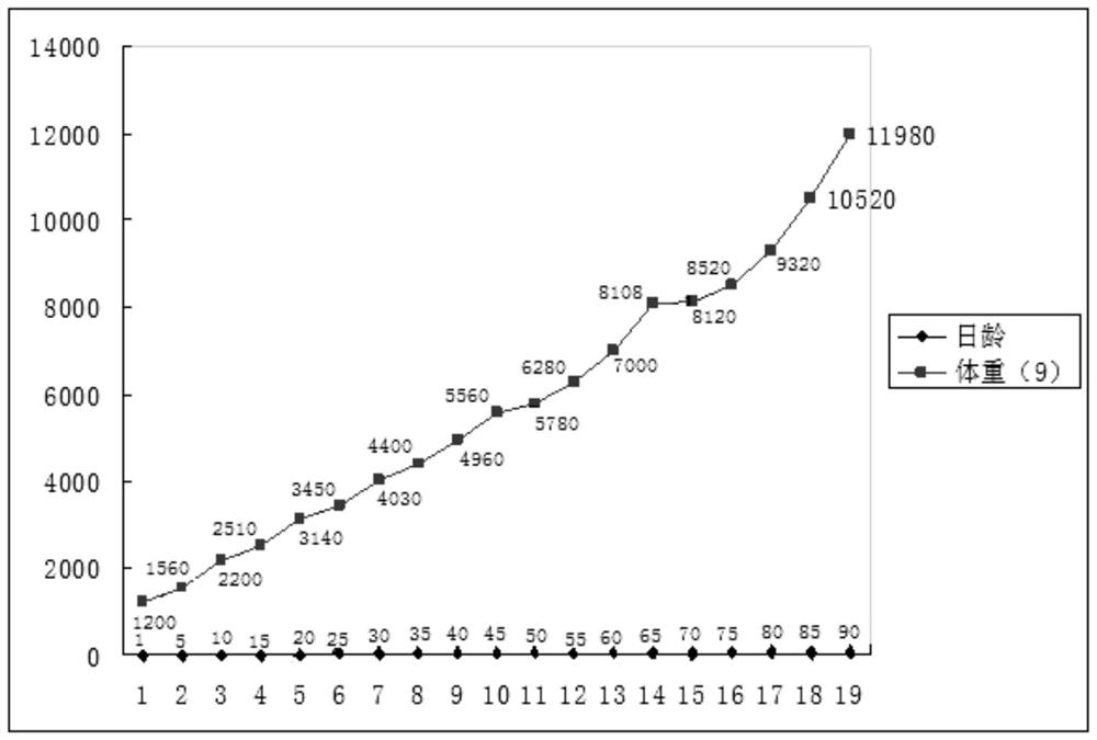 A method for artificially assisted breeding of tigers