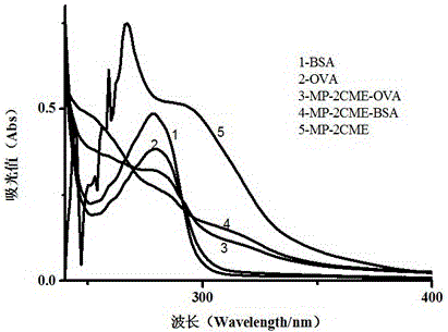 A kind of synthetic method of medroxyprogesterone artificial antigen