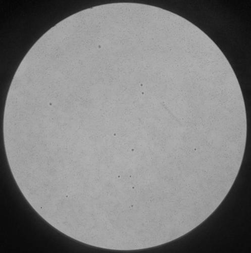 Mycoplasma identification agar culture medium and preparation method thereof