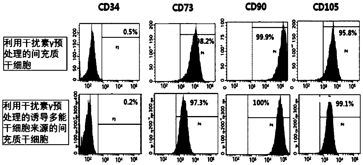 Composition for improving, preventing or treating skin disease comprising induced pluripotency stem cell-derived mesenchymal stem cells pretreated with interferon gamma and exosomes derived therefrom